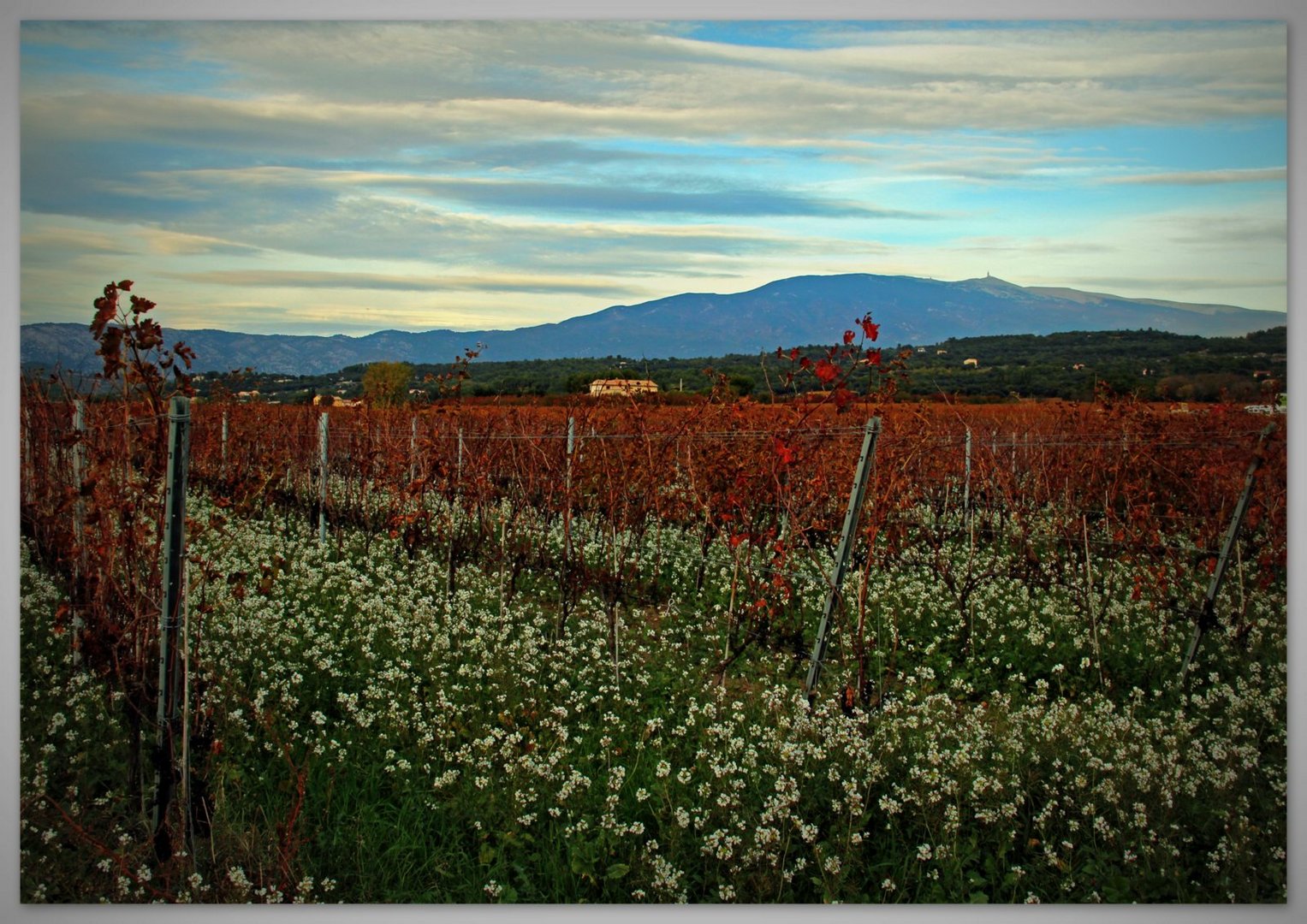 Le Mont Ventoux