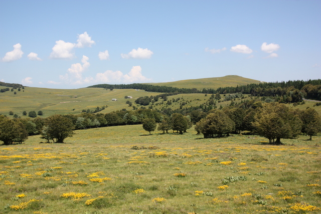 Le Mont Vert