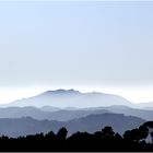 le Mont Vinaigre  sort de la brume