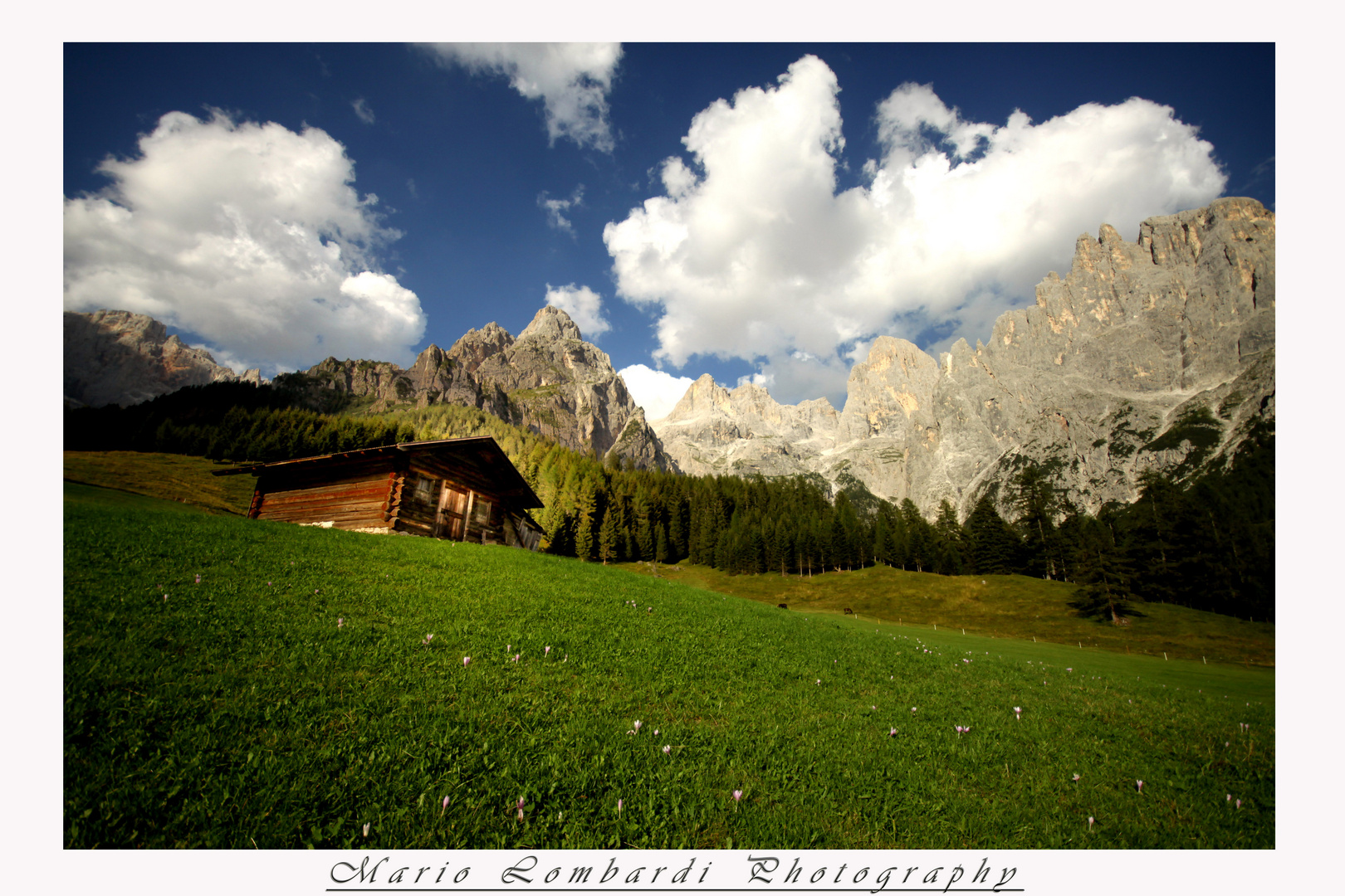 le montagne argentate