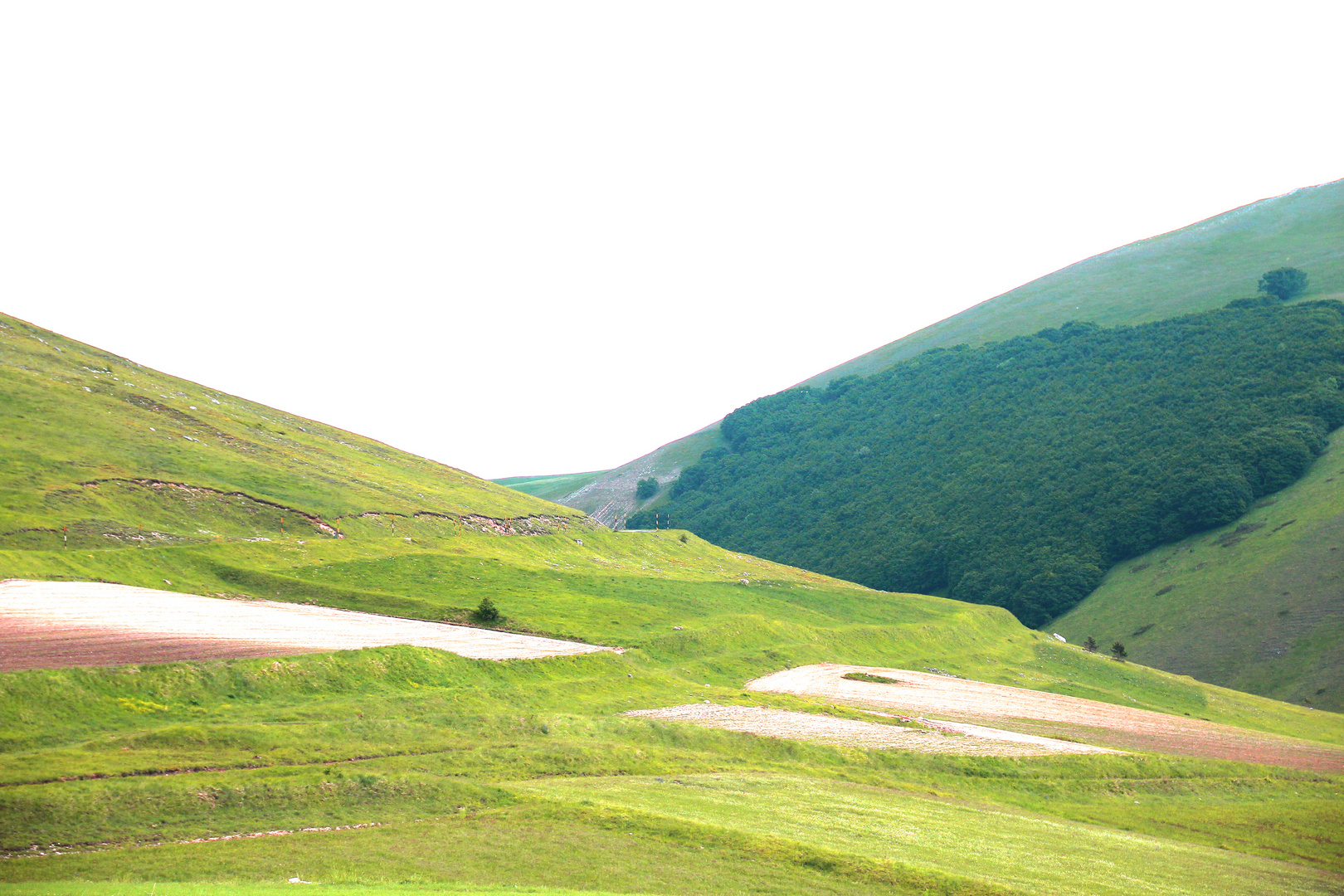 Le montagne di Castelluccio...