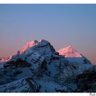 le montagne timide