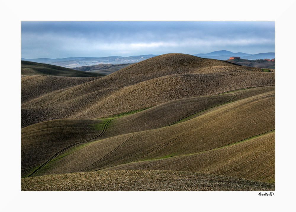 Le morbide colline senesi.