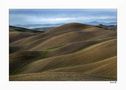 IT: Le morbide colline senesi. von Azelio Magini 