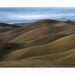 Le morbide colline senesi.