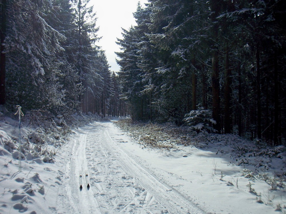 le Morvan sous la neige...