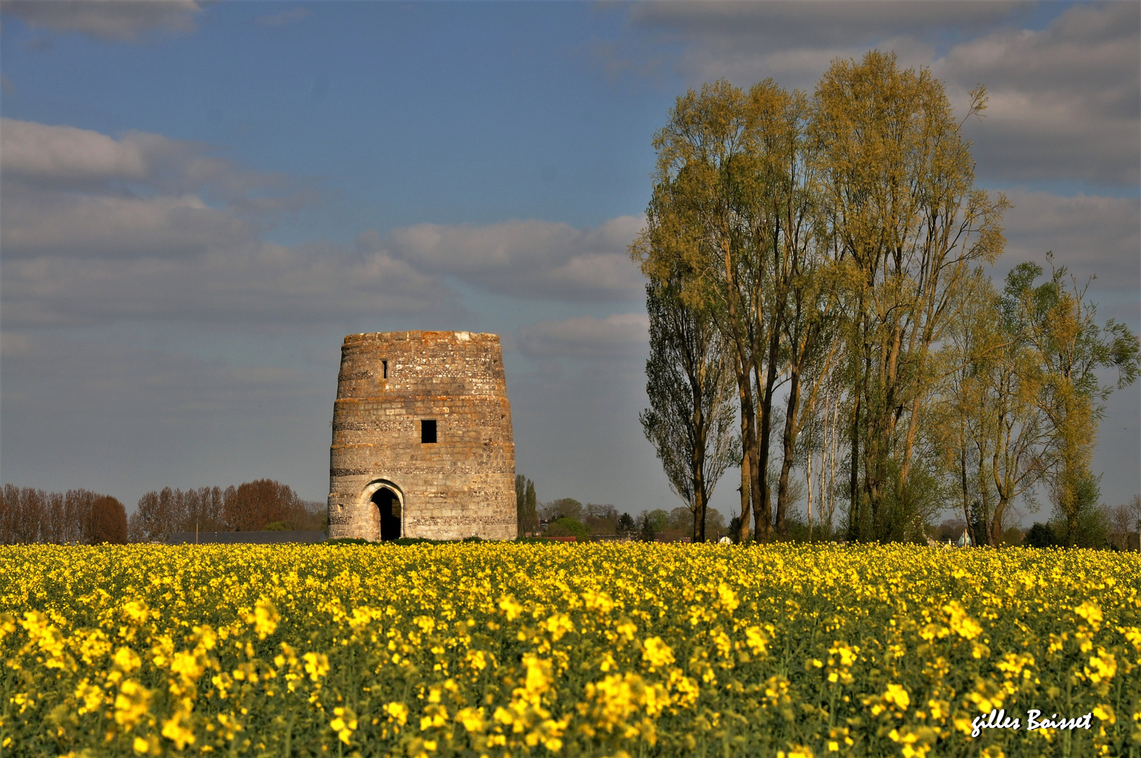 le moulin "à colza"