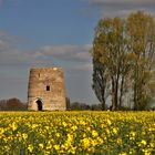 le moulin "à colza"