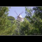 le moulin