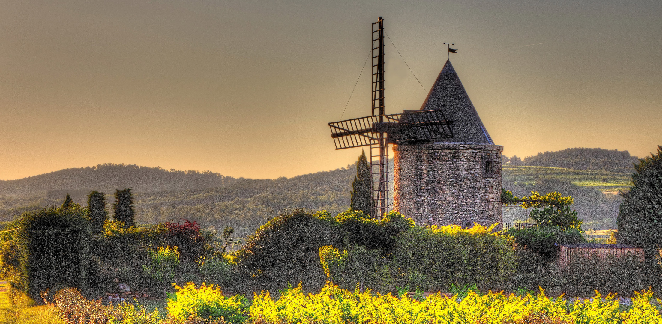 LE MOULIN DANS LA VIGNE