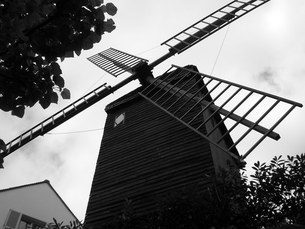 le moulin de la galette ( Paris)