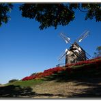 Le moulin de la Salette