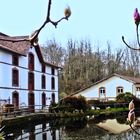 Le moulin de Poustagnacq à Saint Paul-les-Dax