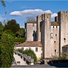 Le Moulin des Tours et le Pont roman de Barbaste  --  Lot-et-Garonne