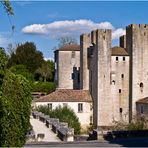 Le Moulin des Tours et le Pont roman de Barbaste  --  Lot-et-Garonne