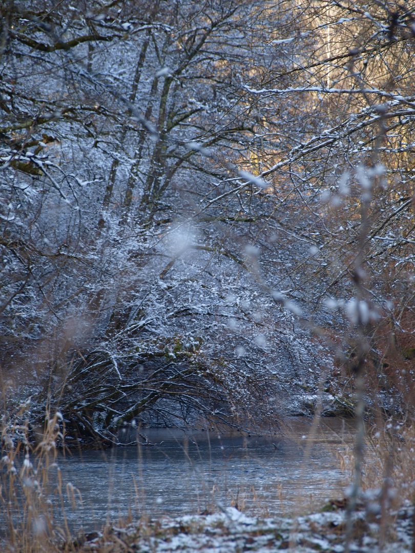 le moulin du breuil 2