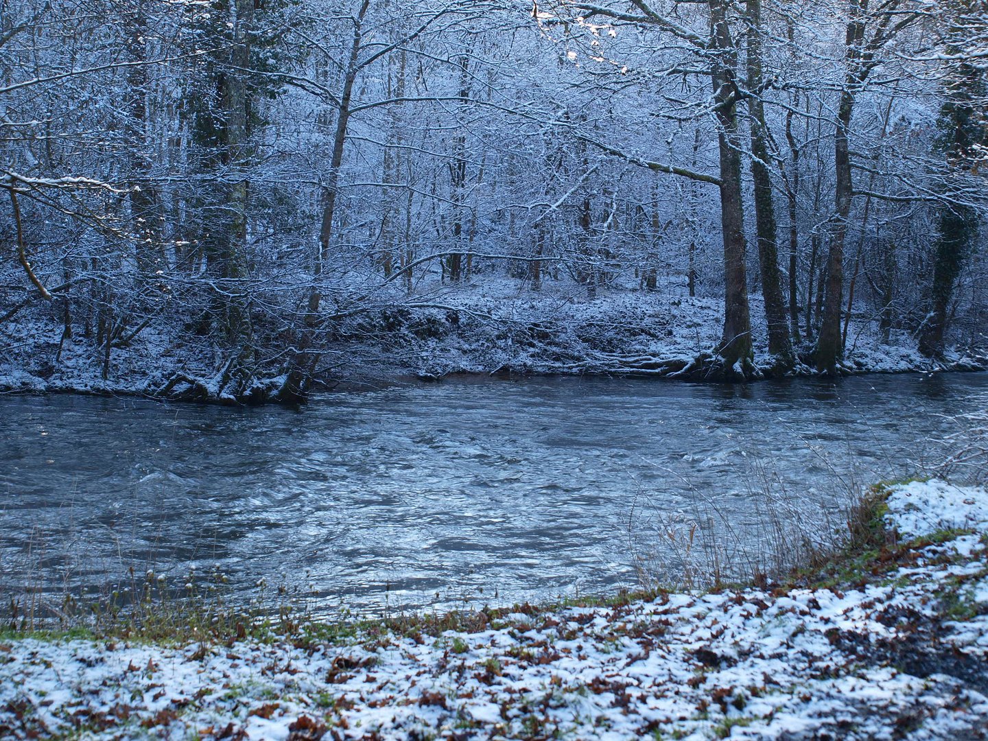 LE Moulin du Breuil