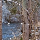 le moulin du Breuil