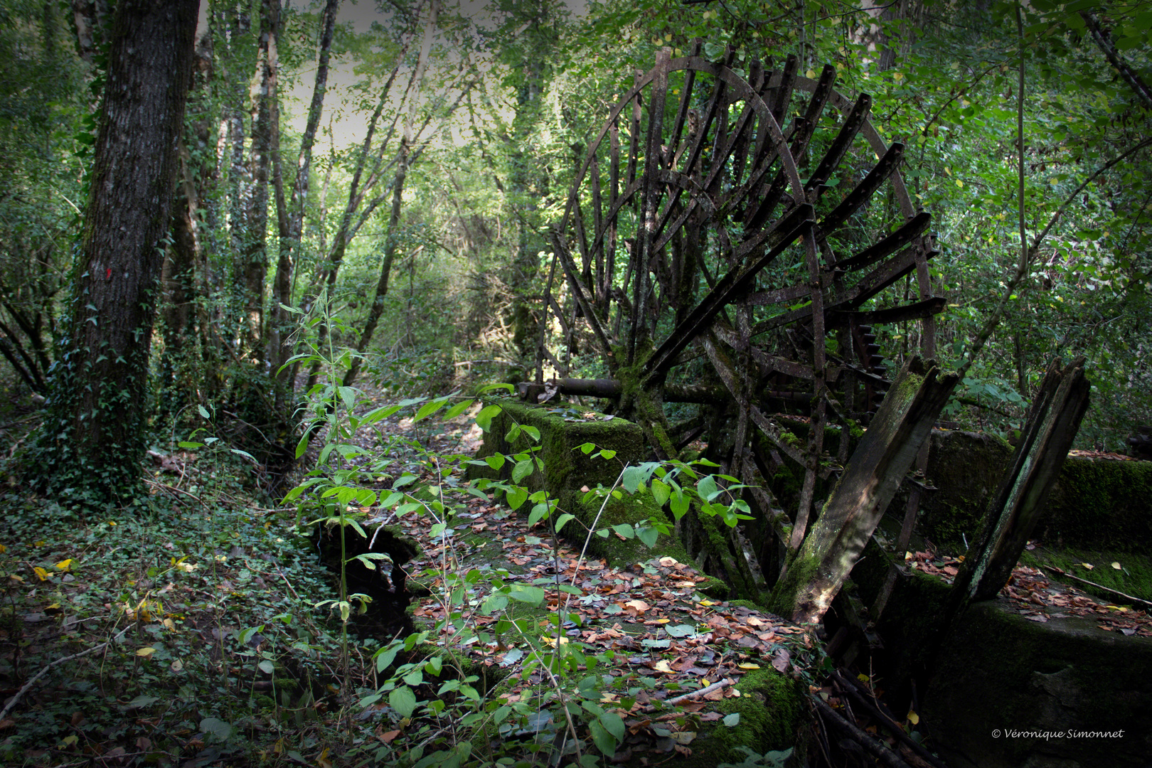 Le moulin du Temps jadis