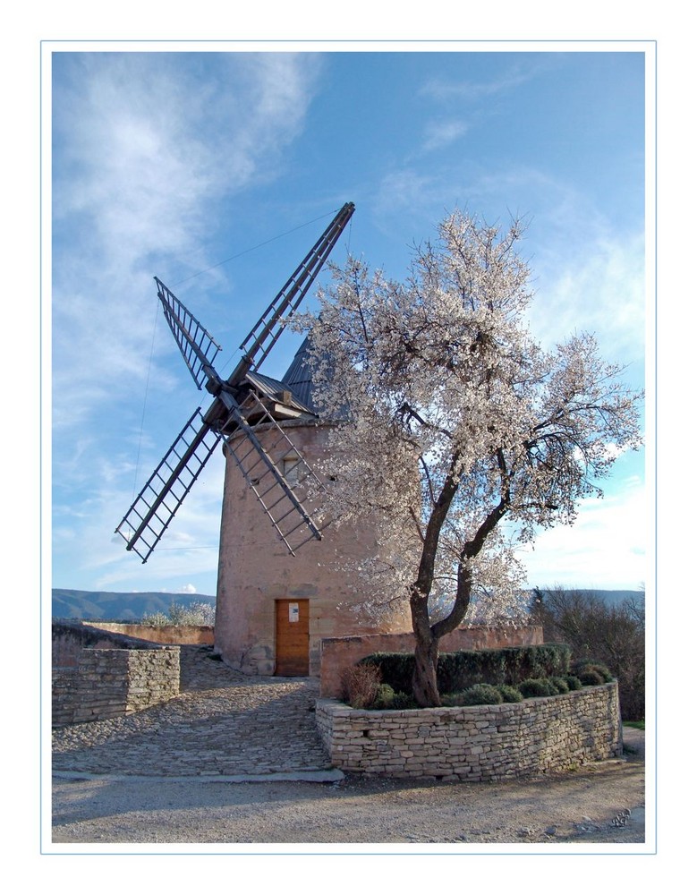 Le moulin et l'amandier