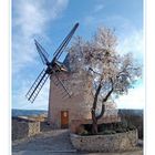 Le moulin et l'amandier