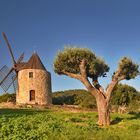 Le moulin et l'olivier