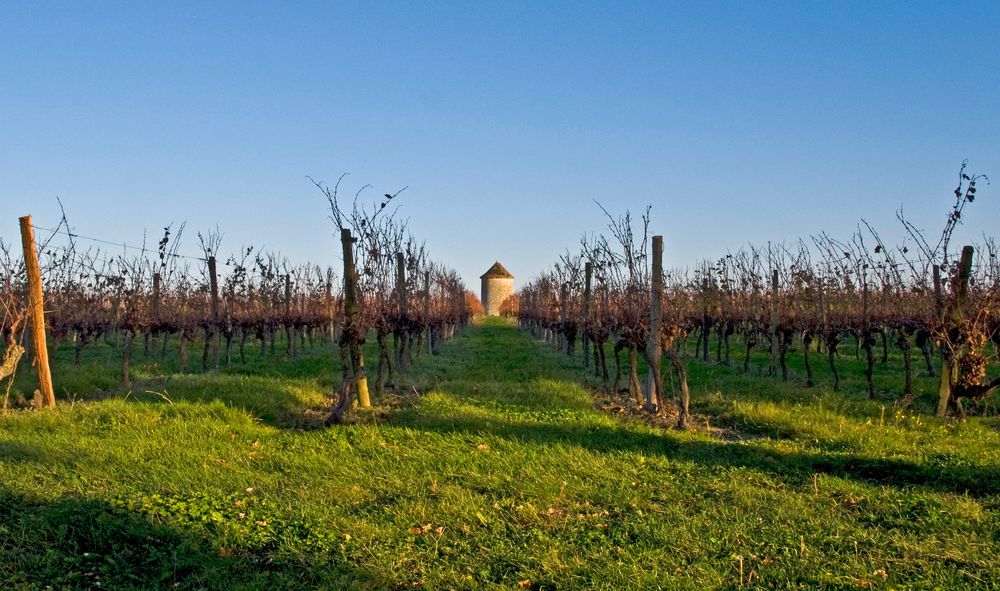 Le moulin sans ailes du Château de Mons en novembre