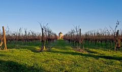 Le moulin sans ailes du Château de Mons en novembre