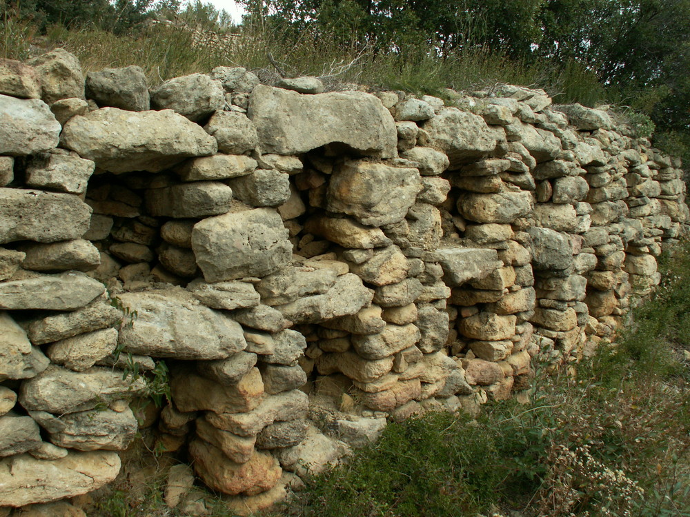 Le Mur aux abeilles