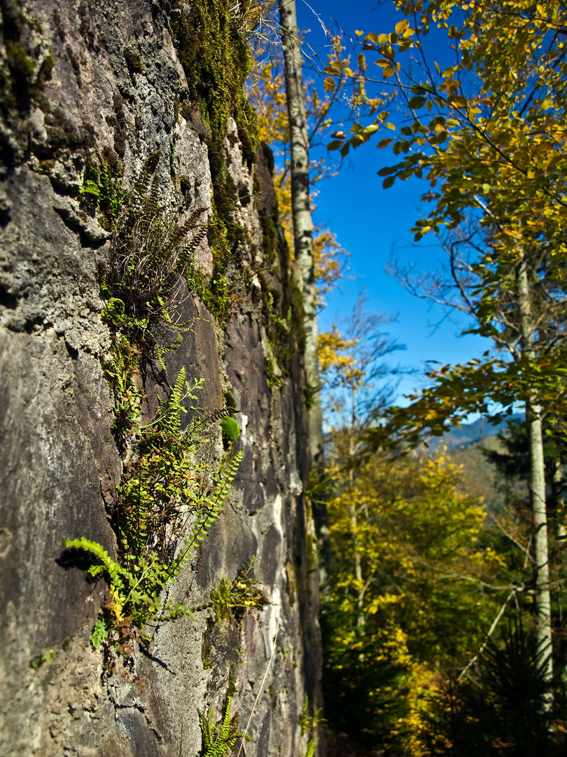 le mur - Die Mauer