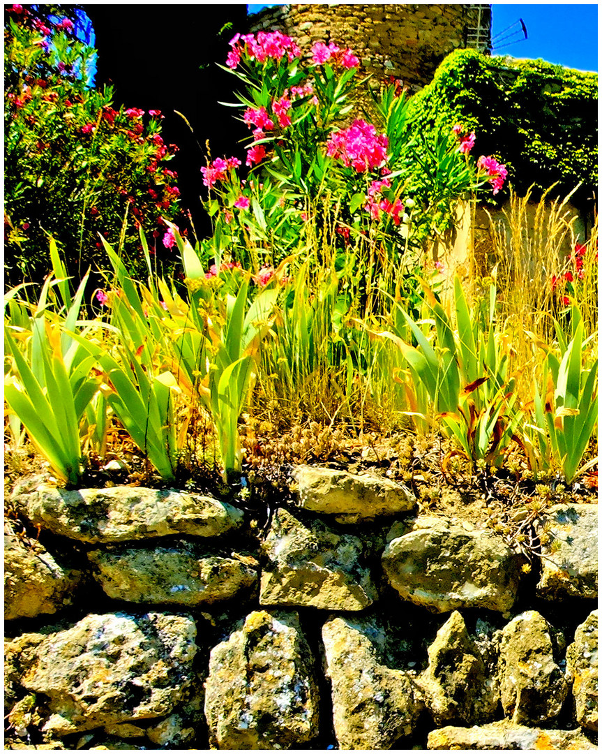 Le mur en fleurs