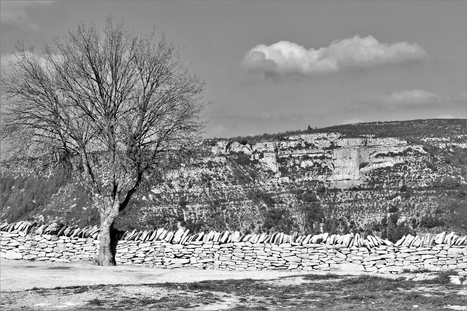 Le mur en pierres sèches