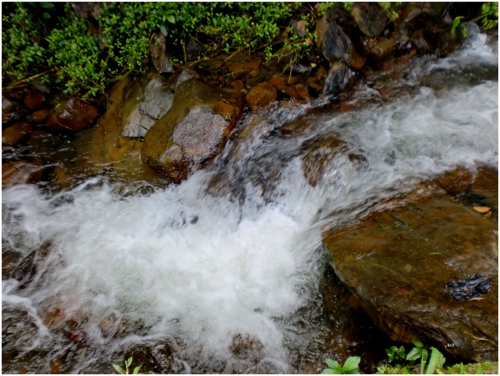 Le murmure de l'eau