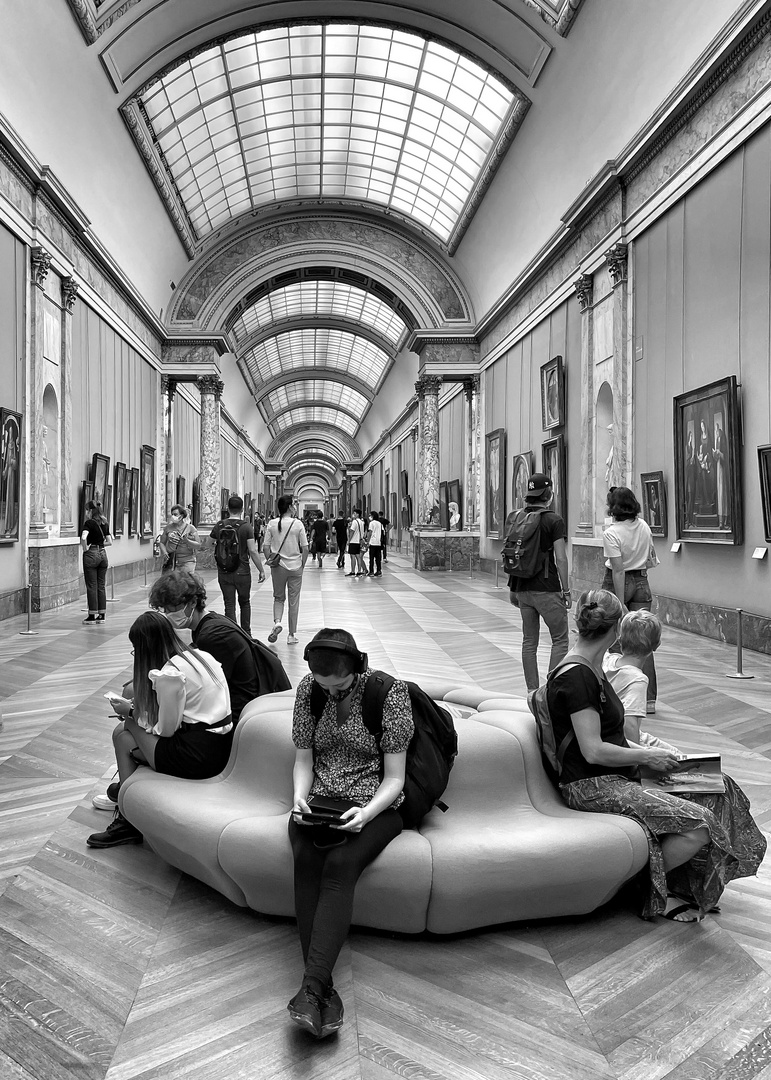 Le Musée du Louvre et ses visiteurs 