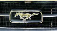 Le mustang 