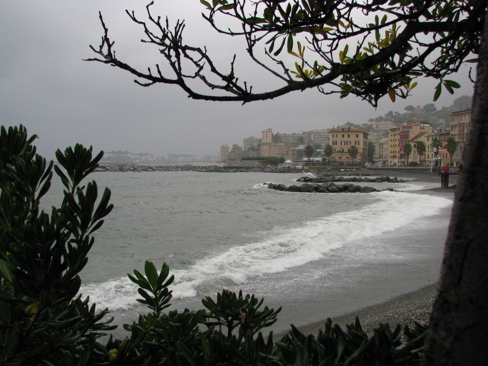 le natura fa da cornice