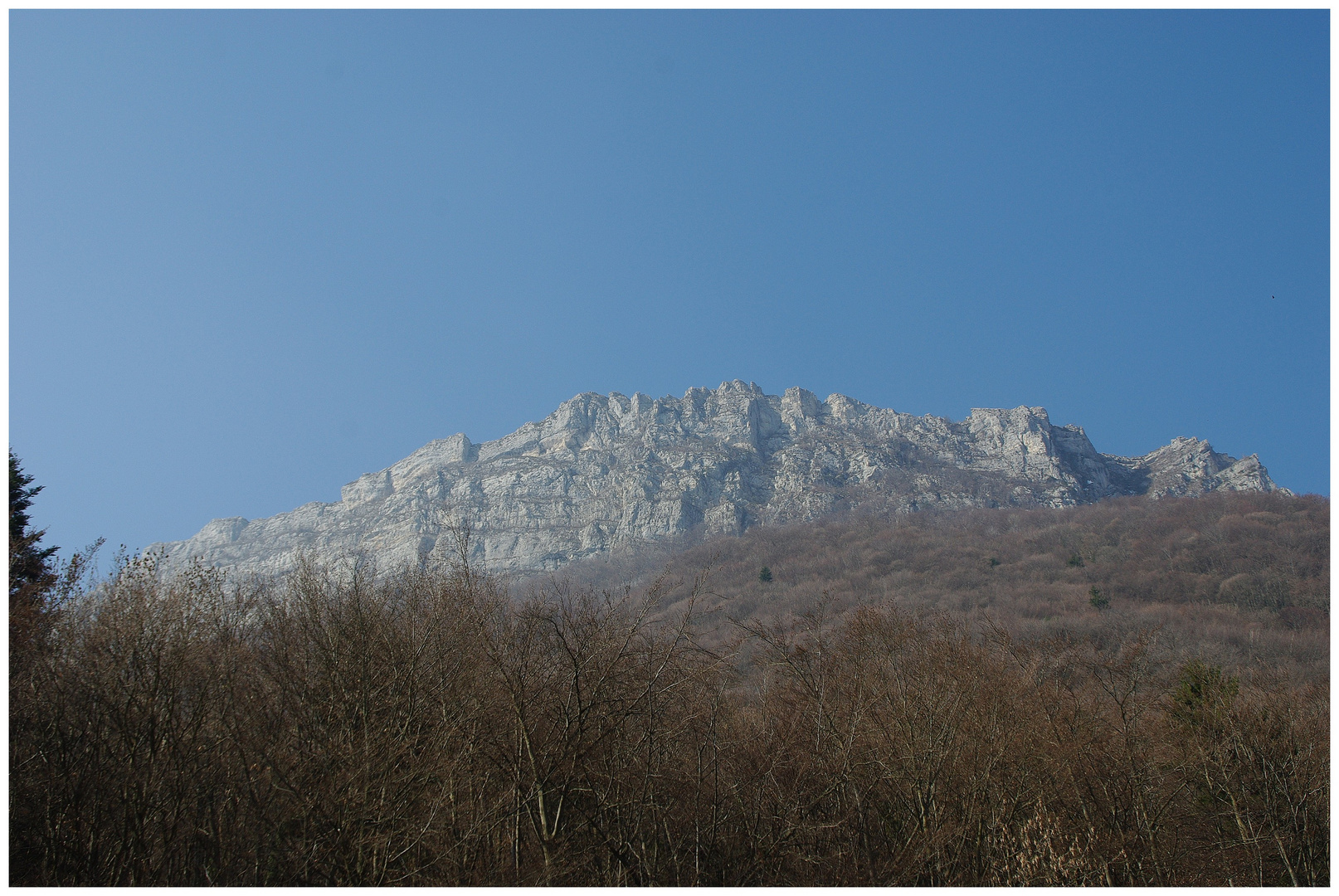 Le Néron coté Chartreuse !