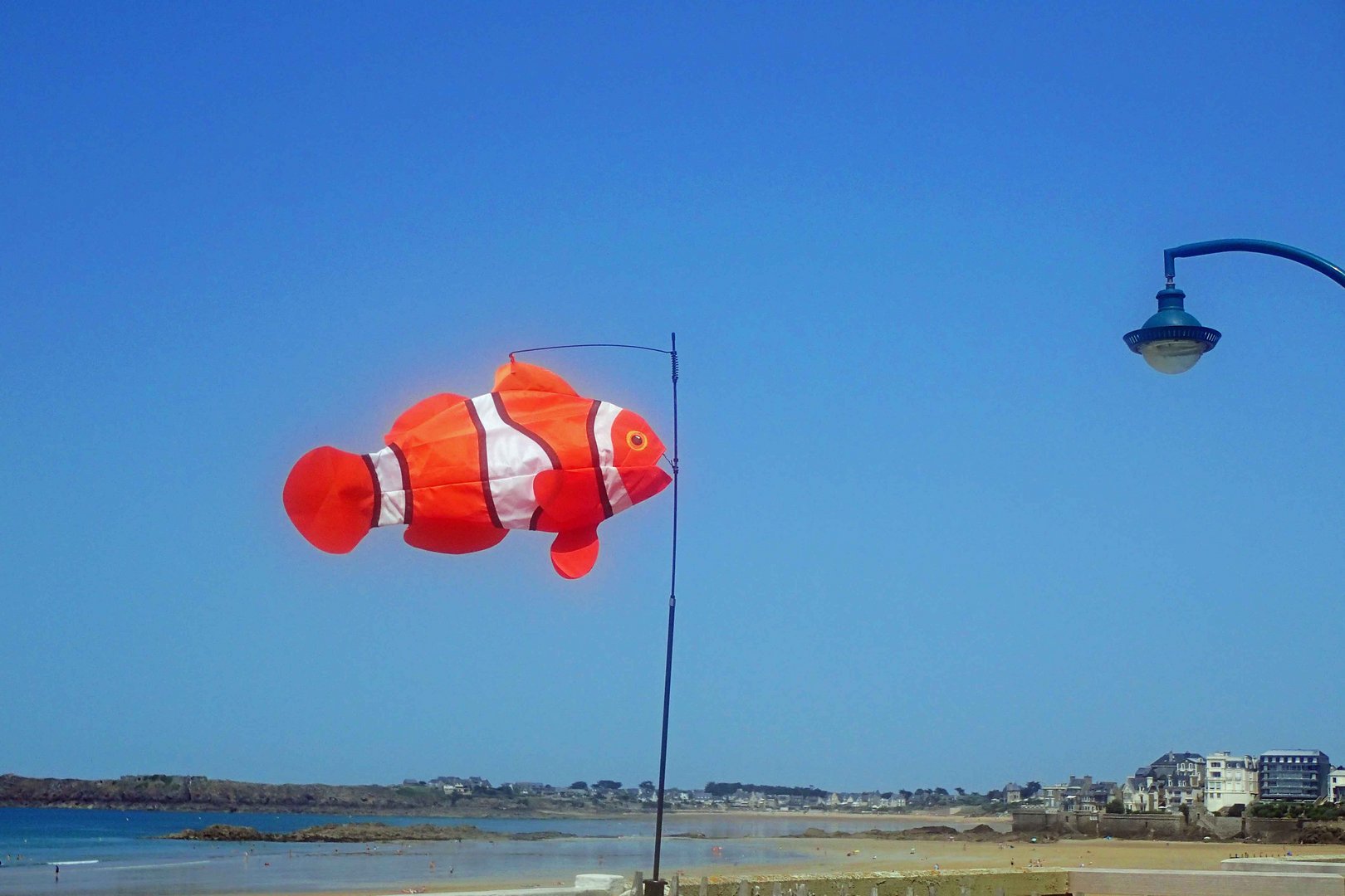 le nez au vent: Nemo