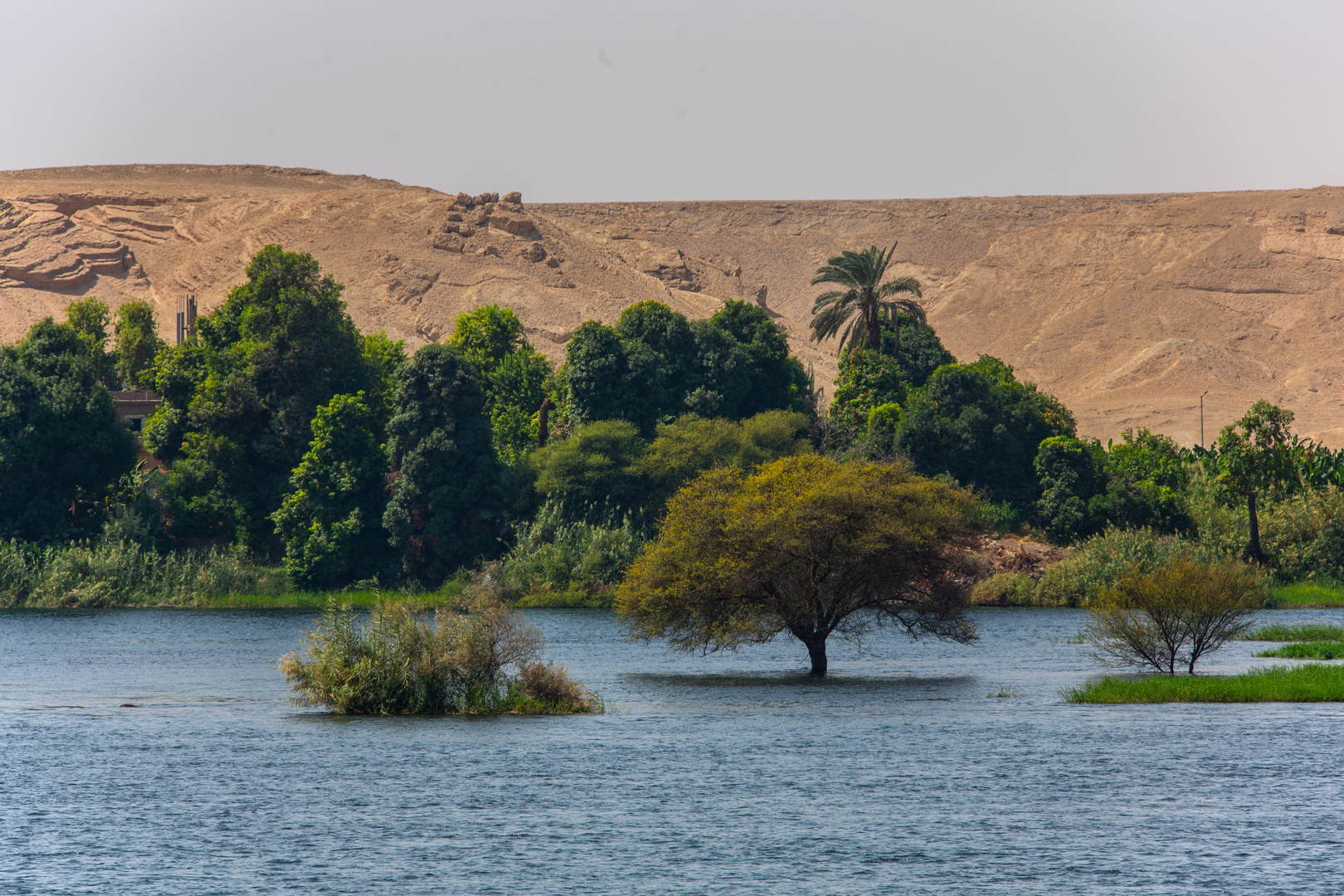 Le Nile, la frêle oasis... et le désert.