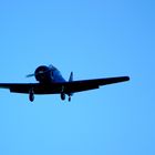 Le North américain T 6 Texan n 0 3 à Saint Mère-Eglise Manche.