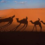 le nostre ombre nel sahara