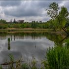 Le nostre Torbiere d'Iseo