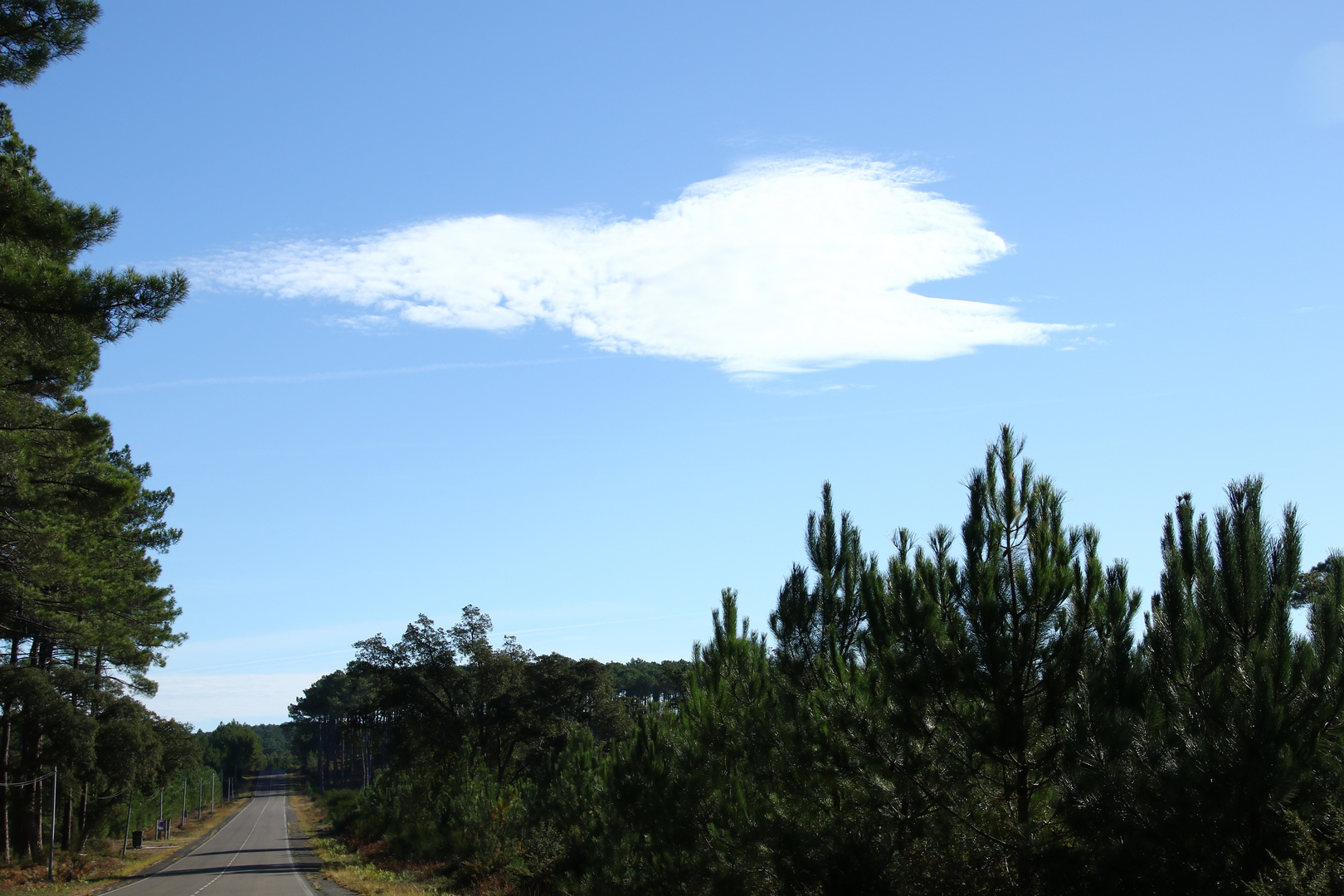 Le nuage blanc !