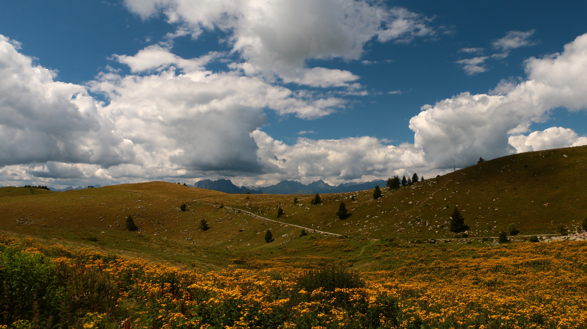 Le nuvole e i fiori