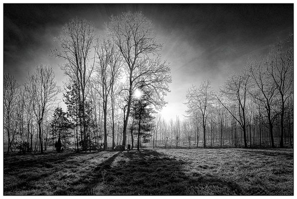 LE OMBRE DEL MATTINO