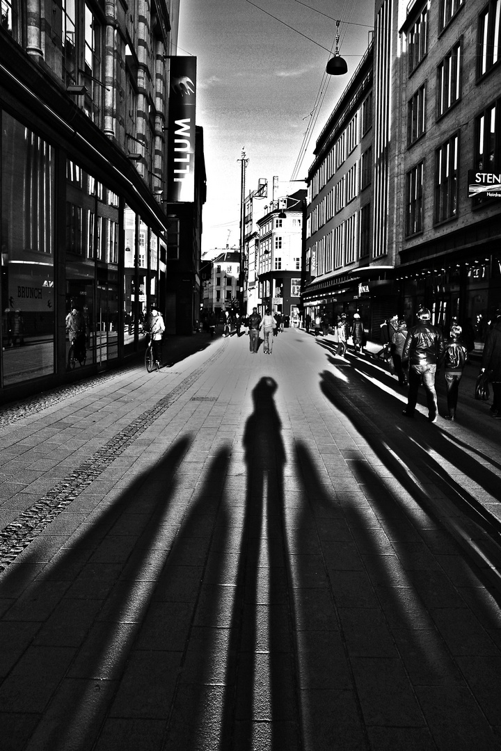 Le ombre della città.