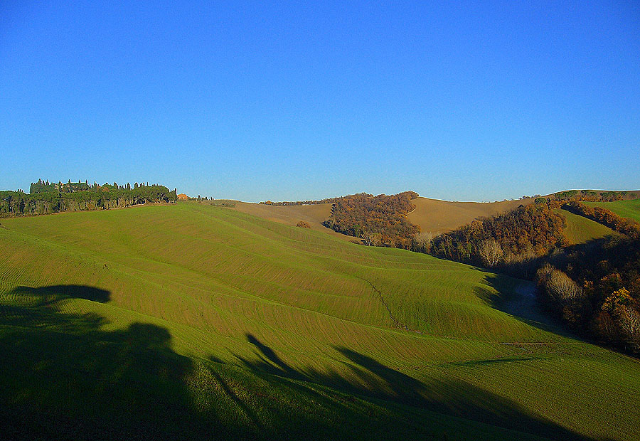 le ombre riflesse nelle crete senesi