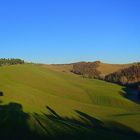 le ombre riflesse nelle crete senesi