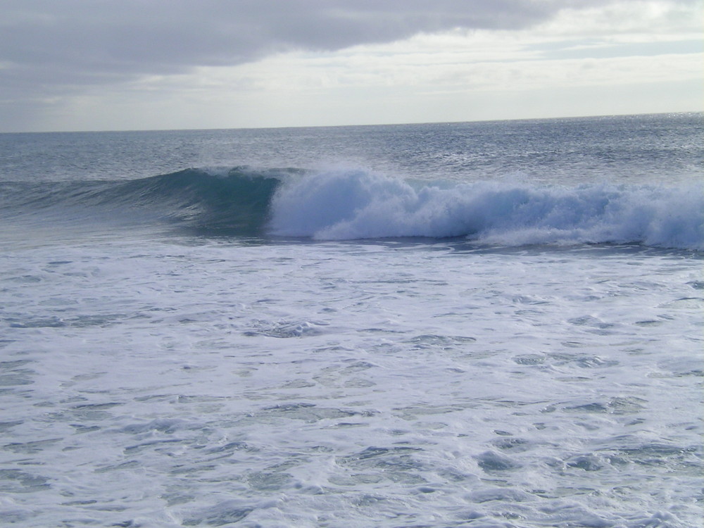 Le onde dei surfisti