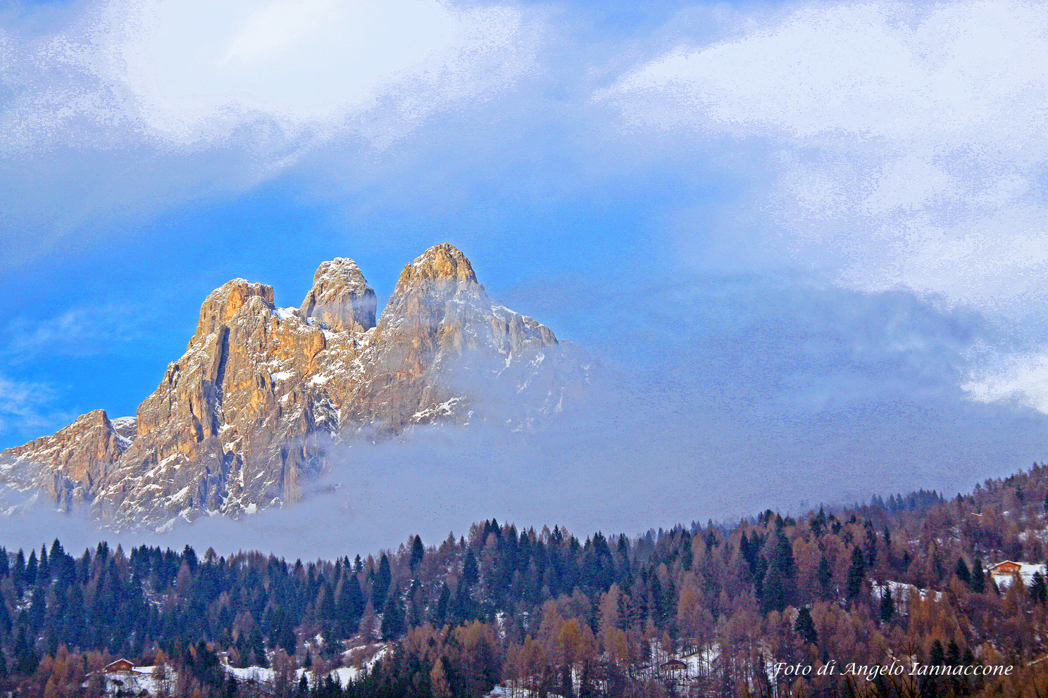 LE PALE DI SAN MARTINO - Fiera di Primiero dicembre 2008 